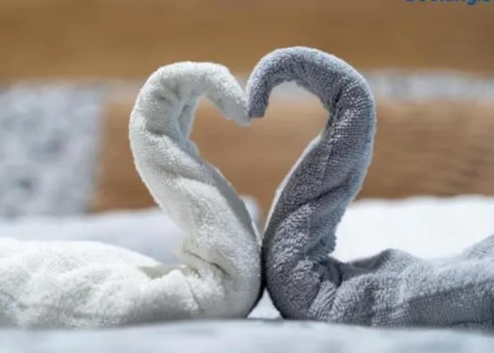 Apartament Janojlic Zlatibor